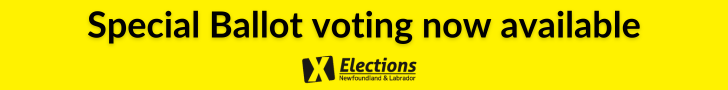 Elections NL 2